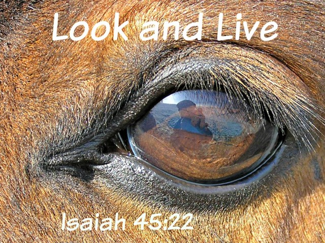 Look and Live - Audio