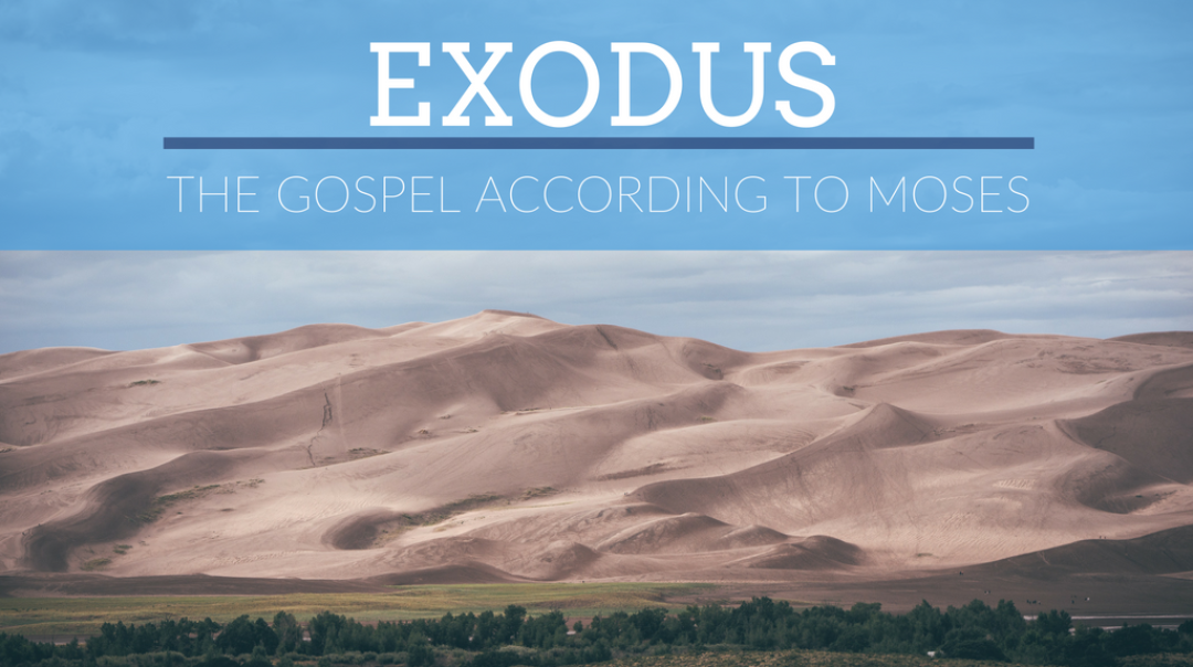 Exodus 8 - Audio