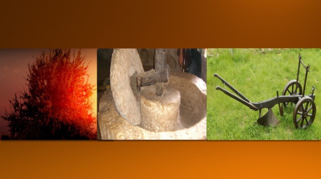 Bushes, Presses, and Plows - Audio