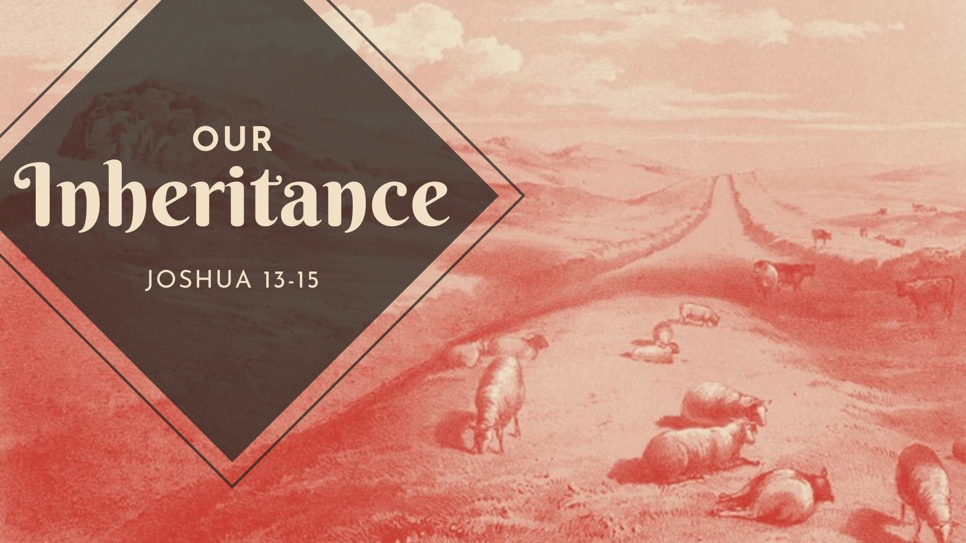 Wayside Bible Chapel