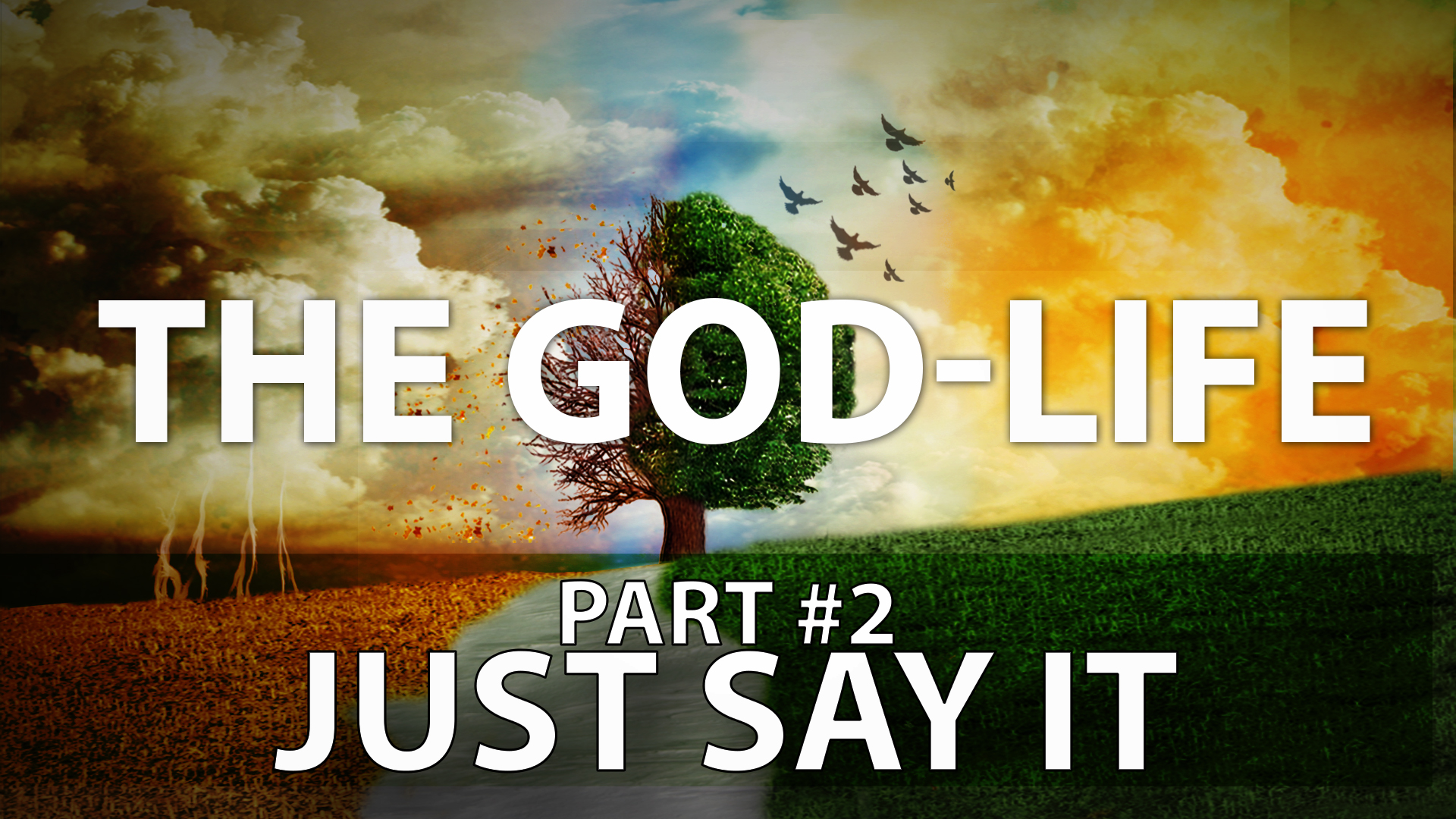 Just Say It! [Part 2 - The God Life series]