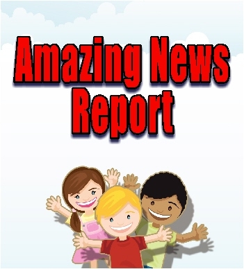 News Report