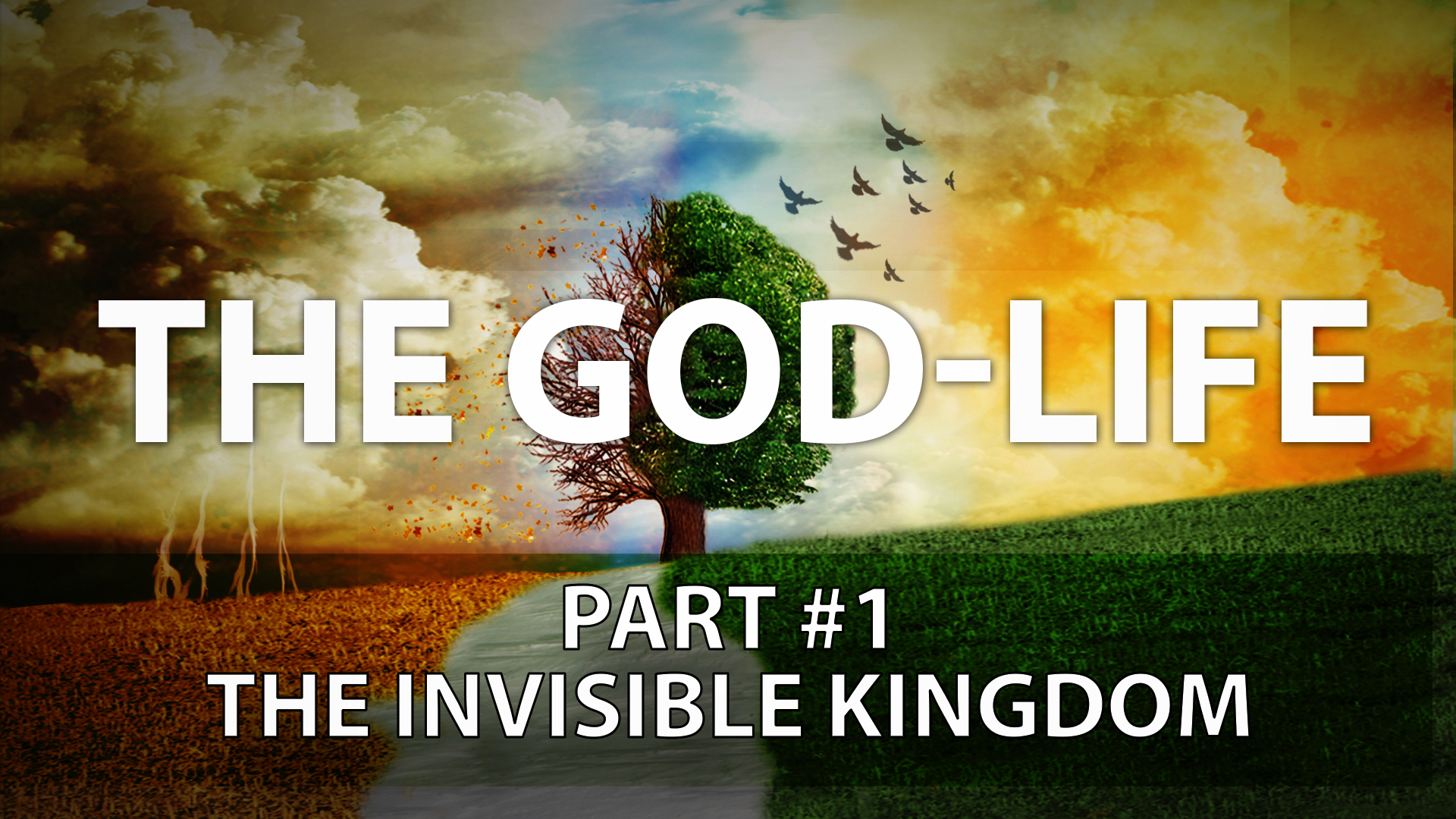 The God Life - Part 1