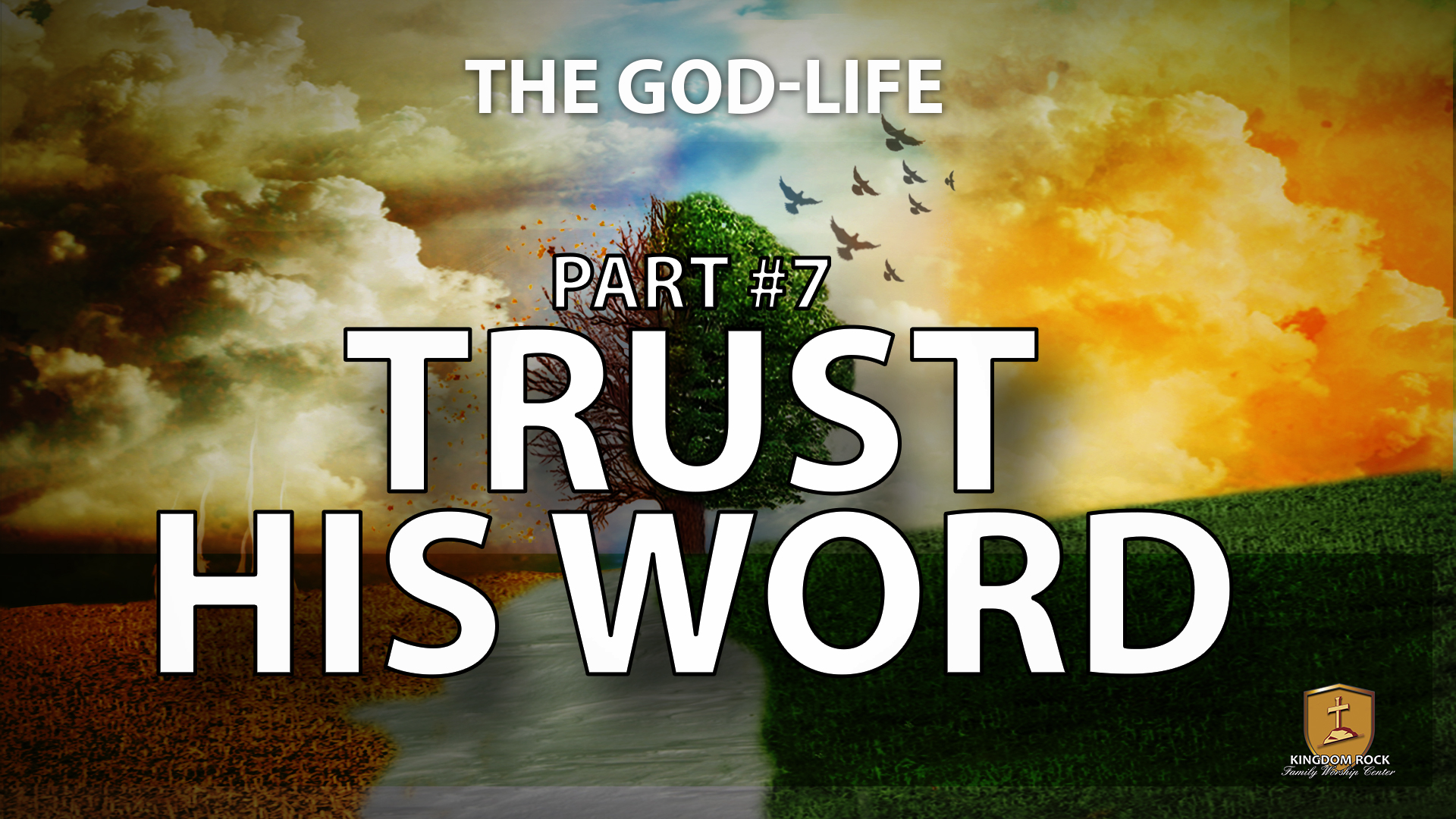 Trust His Word