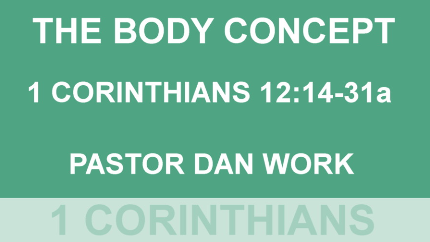 The Body Concept