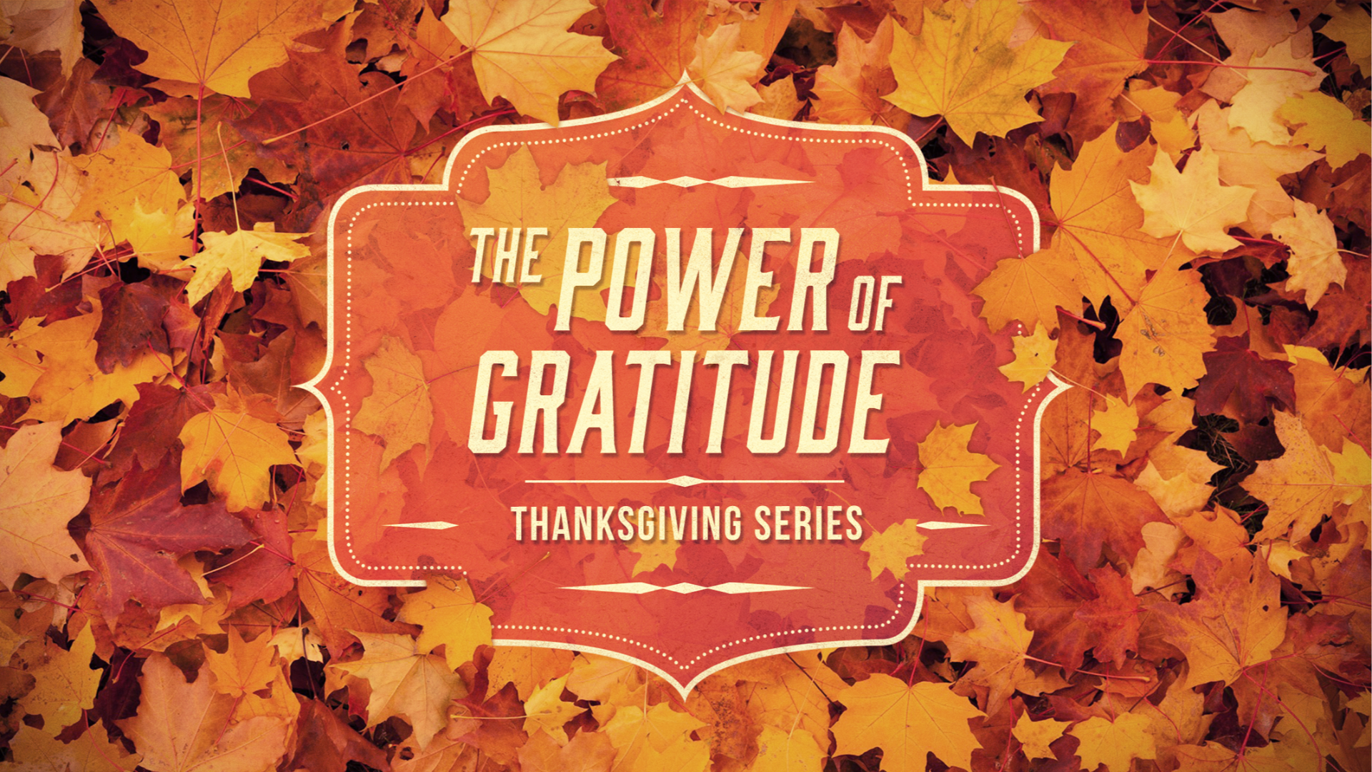 Grateful Lives (11/24/19)