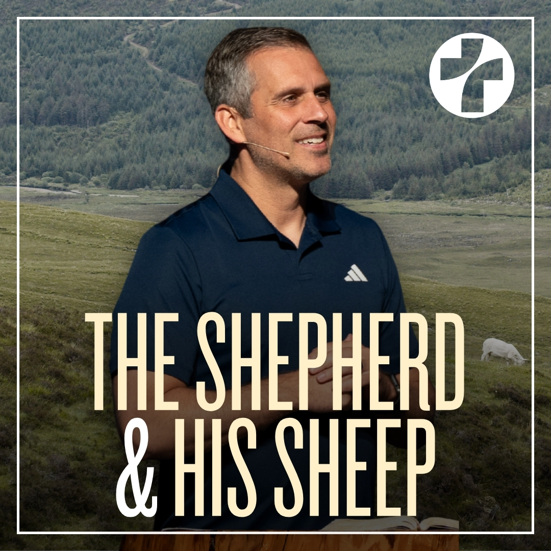The Shepherd & His Sheep - Audio episode artwork