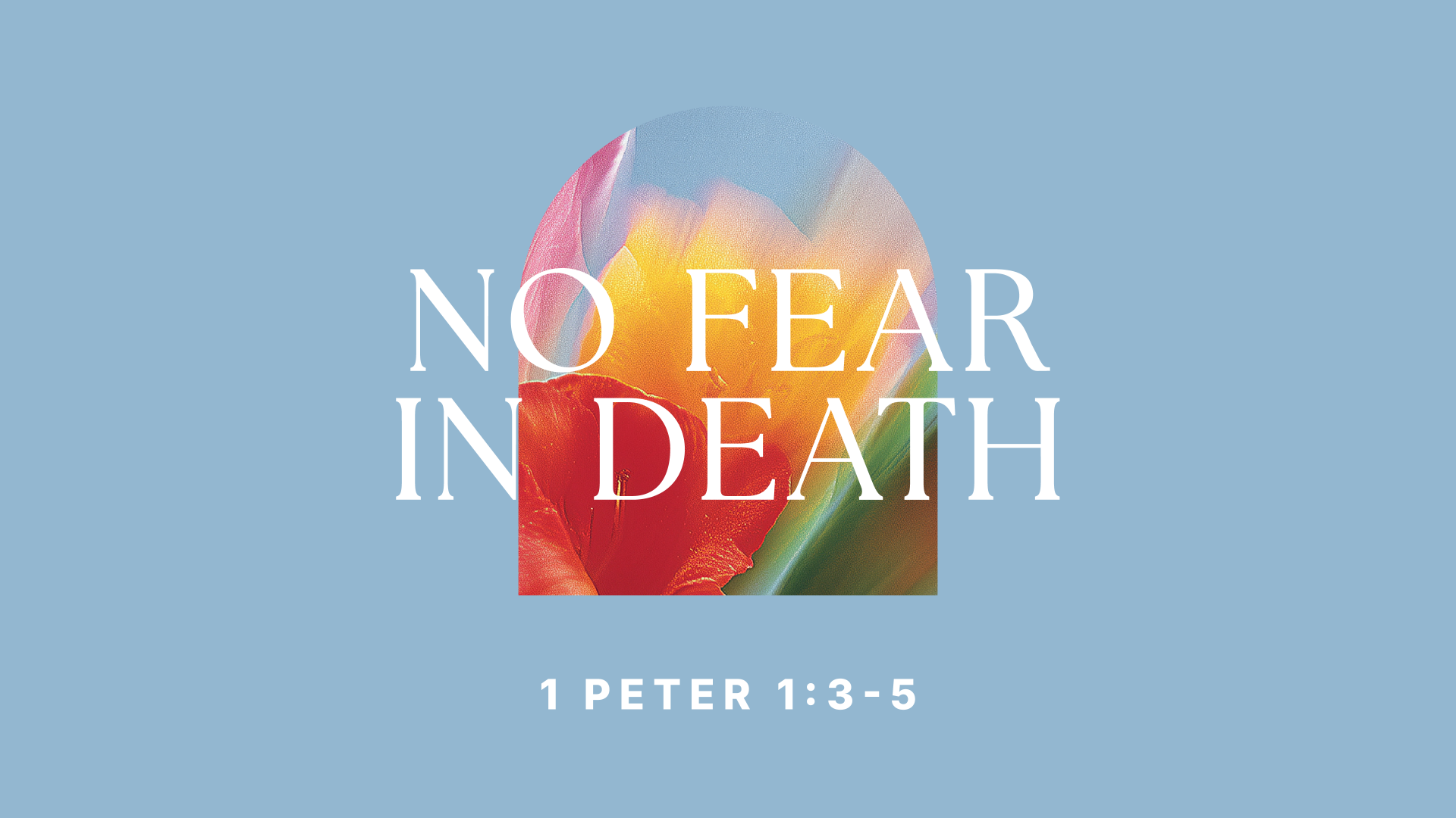 No Fear in Death episode artwork