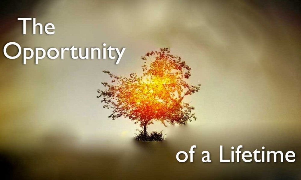 The Opportunity of a Lifetime