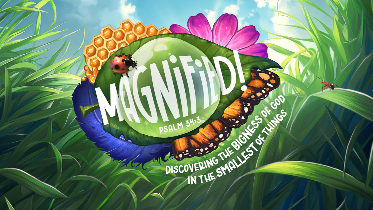 Magnified!