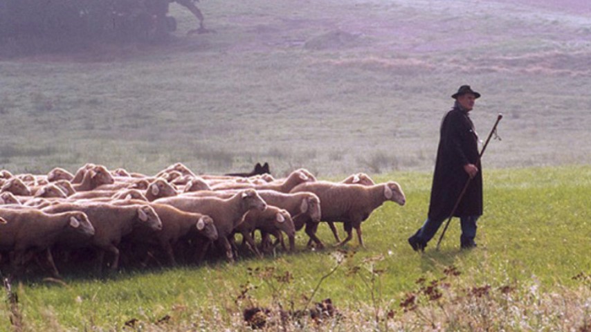 #3 - L'Éternel est mon Berger