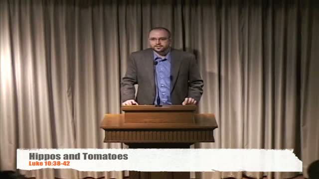 Hippos and Tomatoes - Video