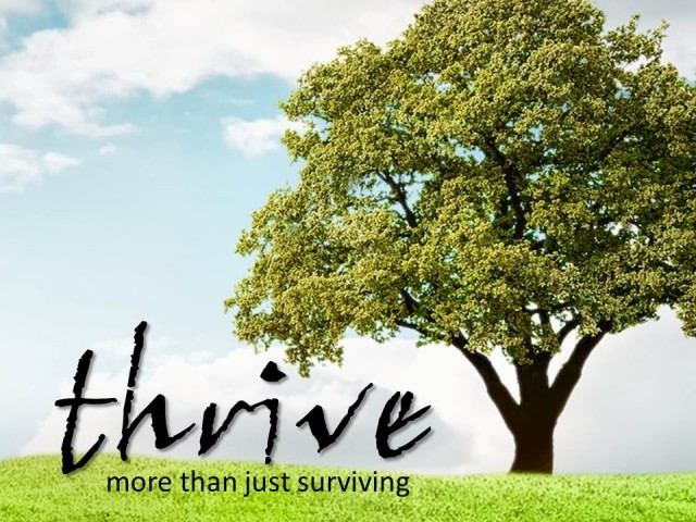 Transform - Audio Transform - Audio