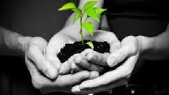 #36 - L'implantation d'Église