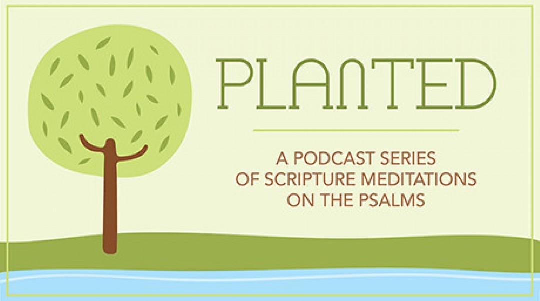Planted