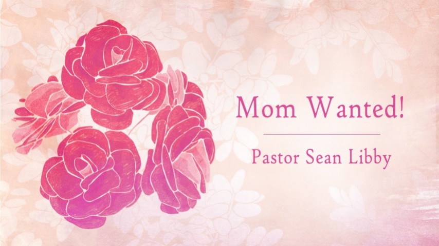 Mom Wanted - Audio Mom Wanted - Audio