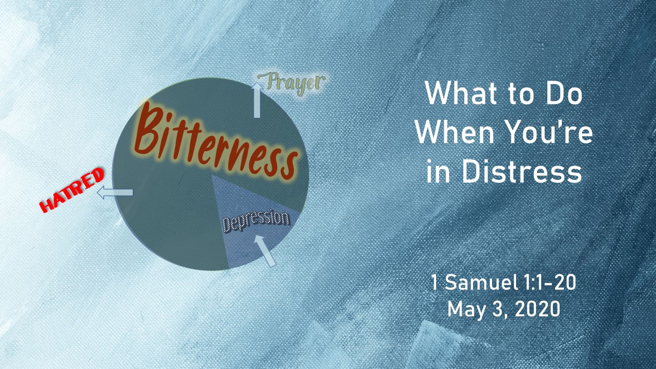 What to Do When You're in Distress - Audio
