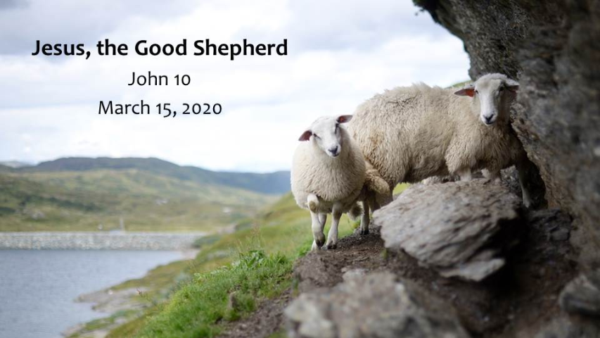Jesus, the Good Shepherd - Audio