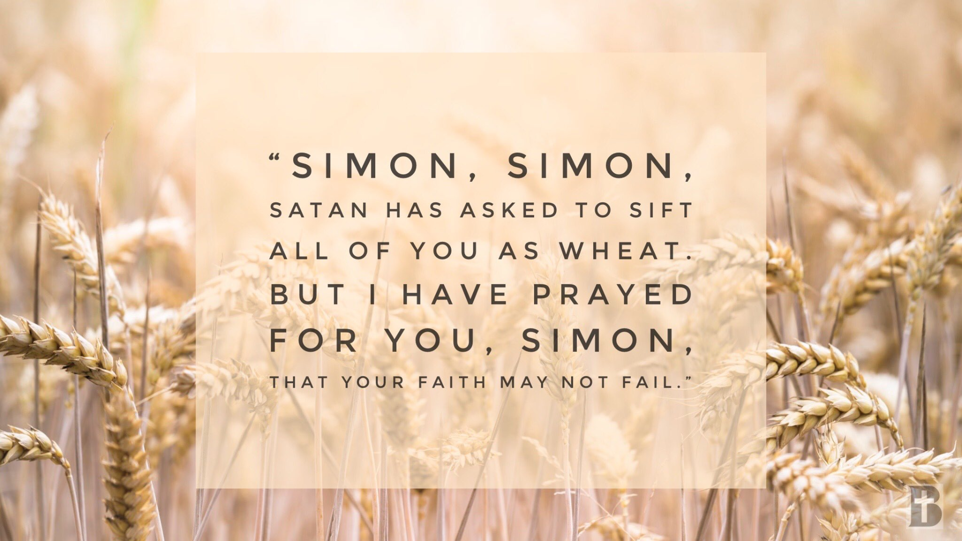 Sifted Like Wheat - Audio