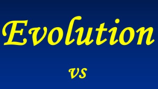 EVOLUTION - Rafael Cruz EVOLUTION - Rafael Cruz