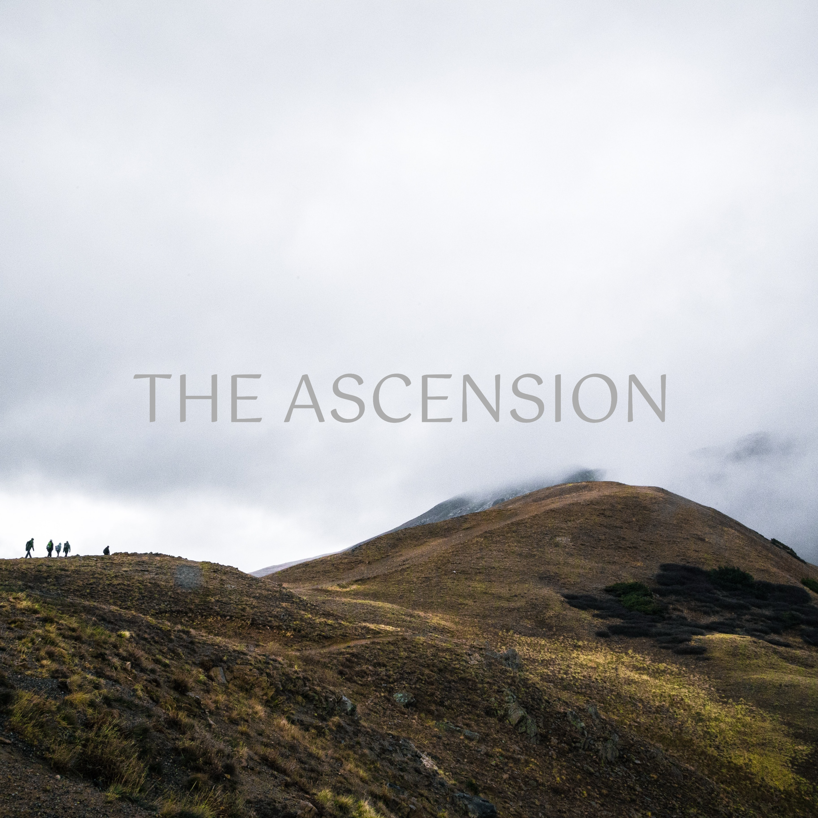 WHY THE ASCENSION #4 - Does this mean I have to go it alone? - Audio