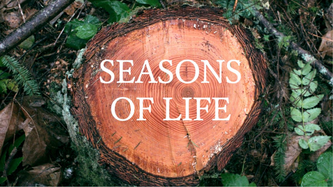 Seasons of Life - Part 3 - Audio