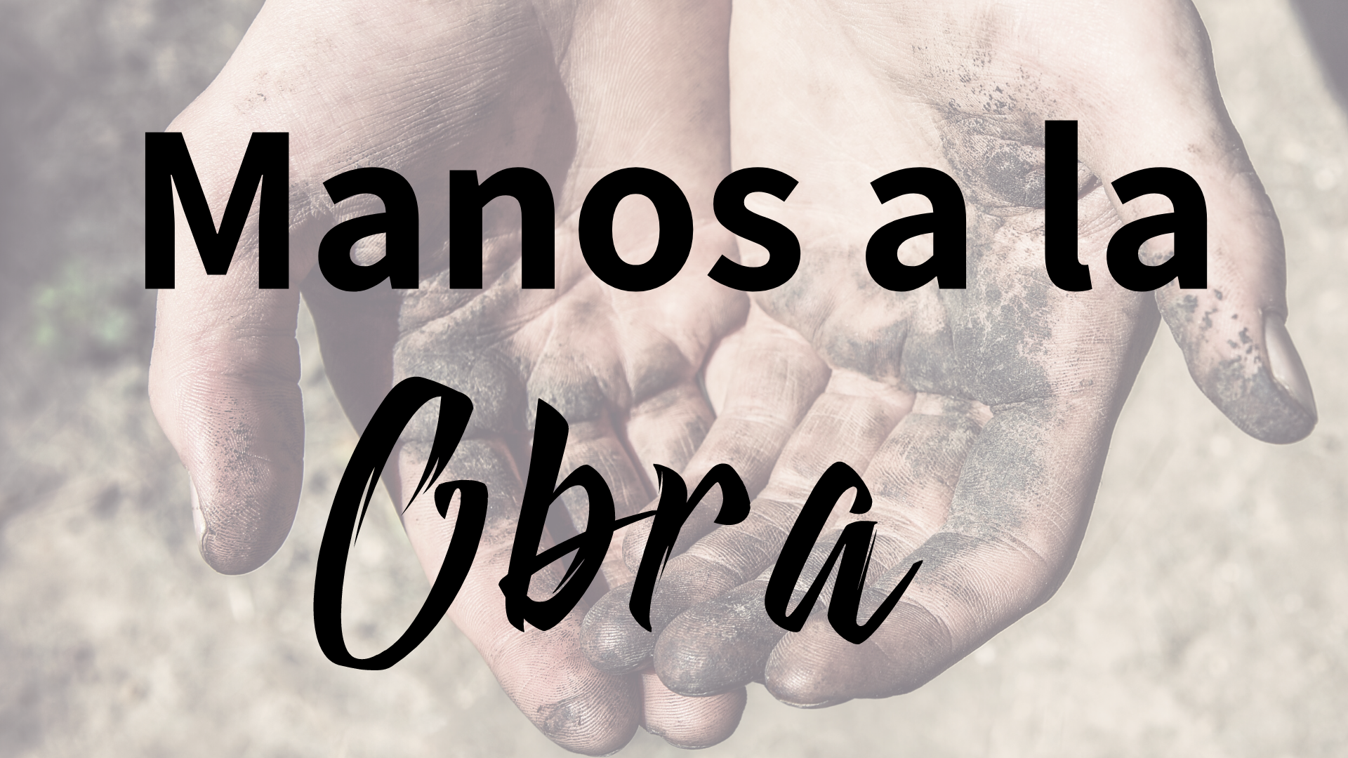 New Life Brownsville