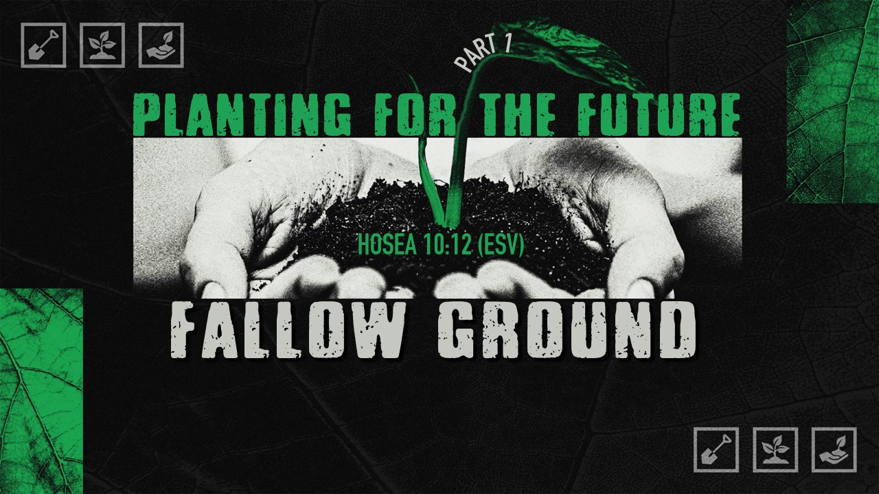 Planting for the Future || Fallow Ground
