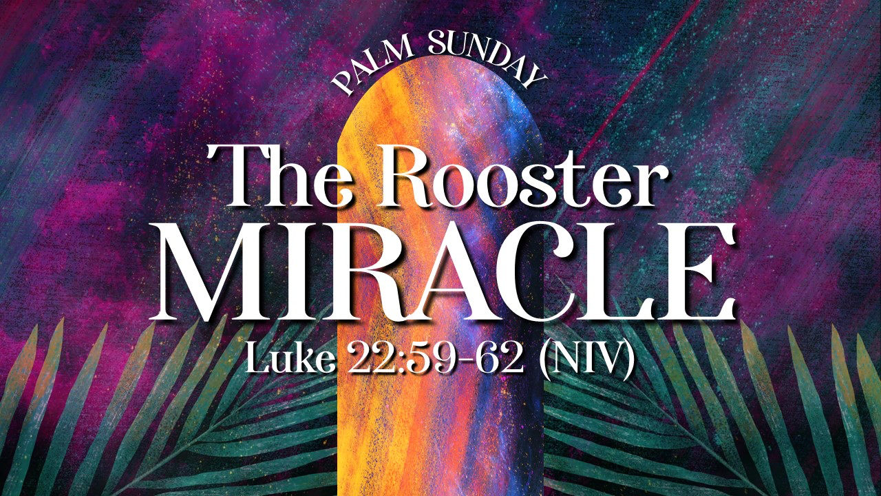 The Rooster Miracle