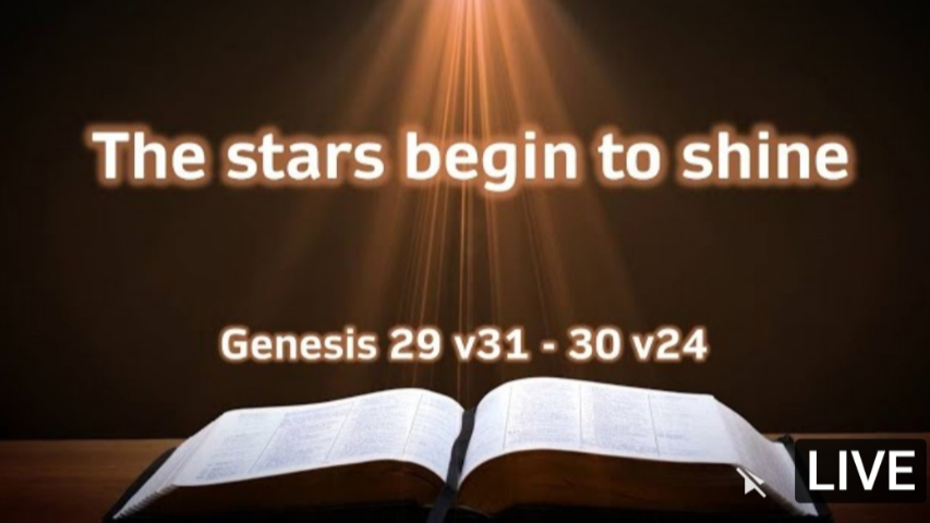 The Stars Begin To Shine