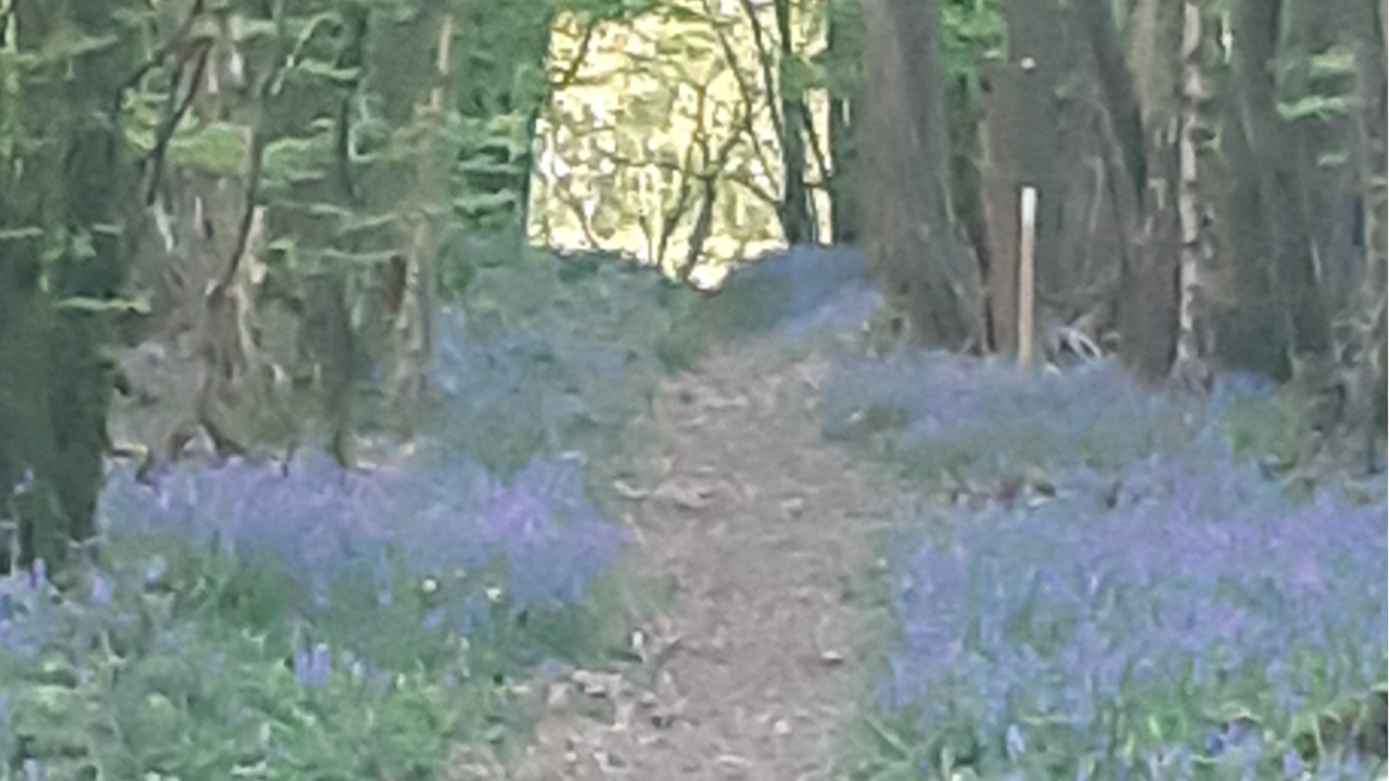 If Jesus Hasn't Risen From The Dead