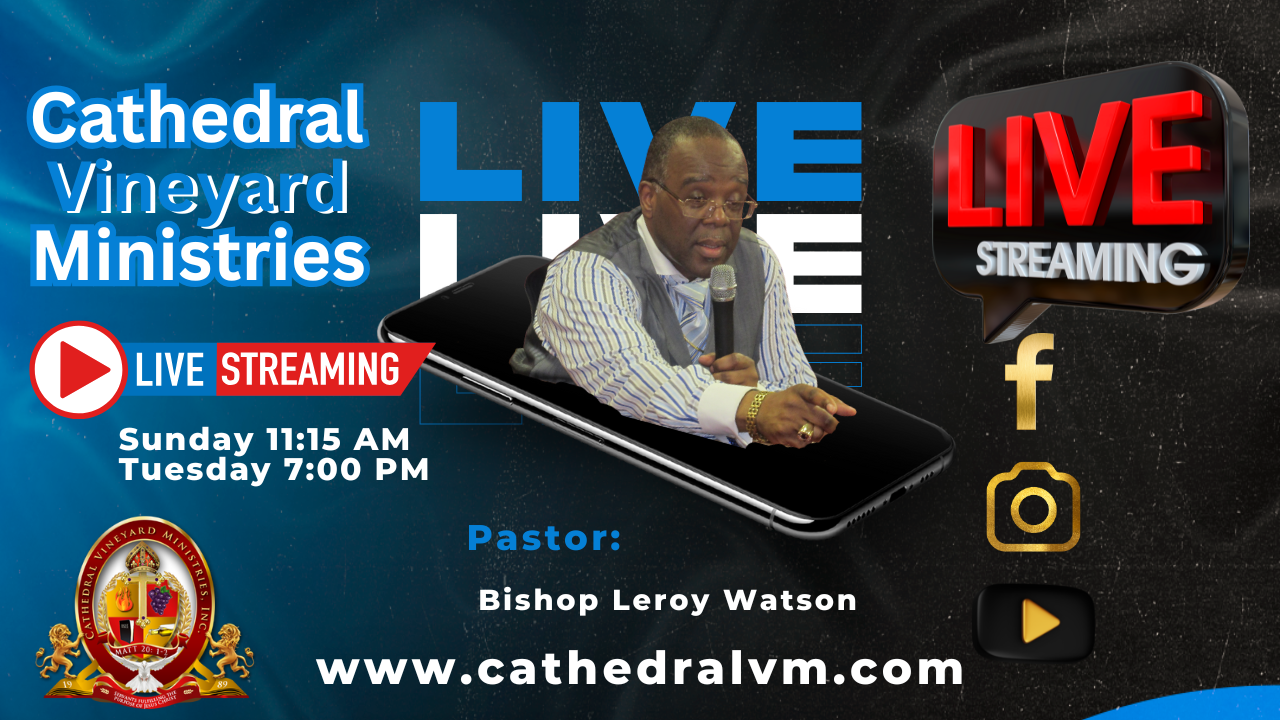 Cathedral Vineyard Ministries - Live Stream