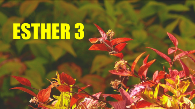 Esther Chapter 3
