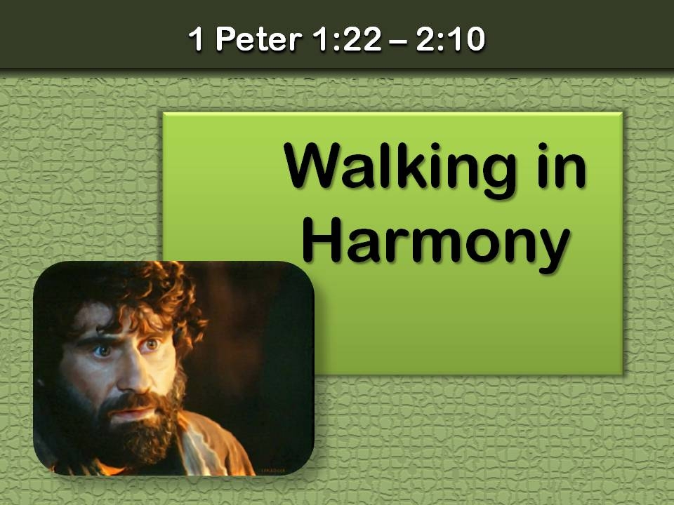 Walking in Harmony