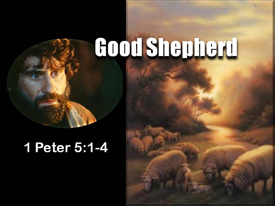 The Good Shepherd