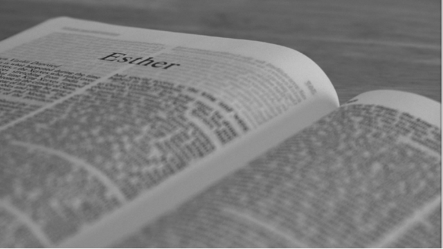 Esther Chapter 8