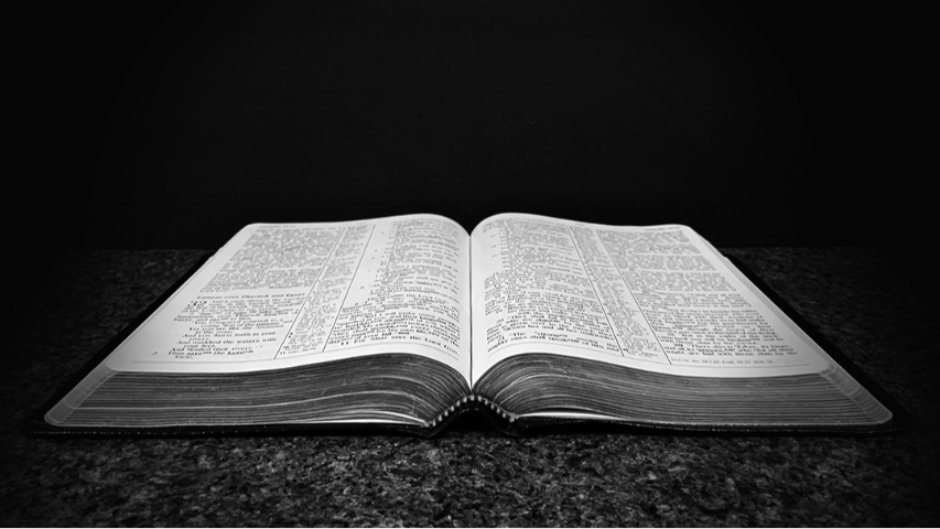 Empowered Bible Studies