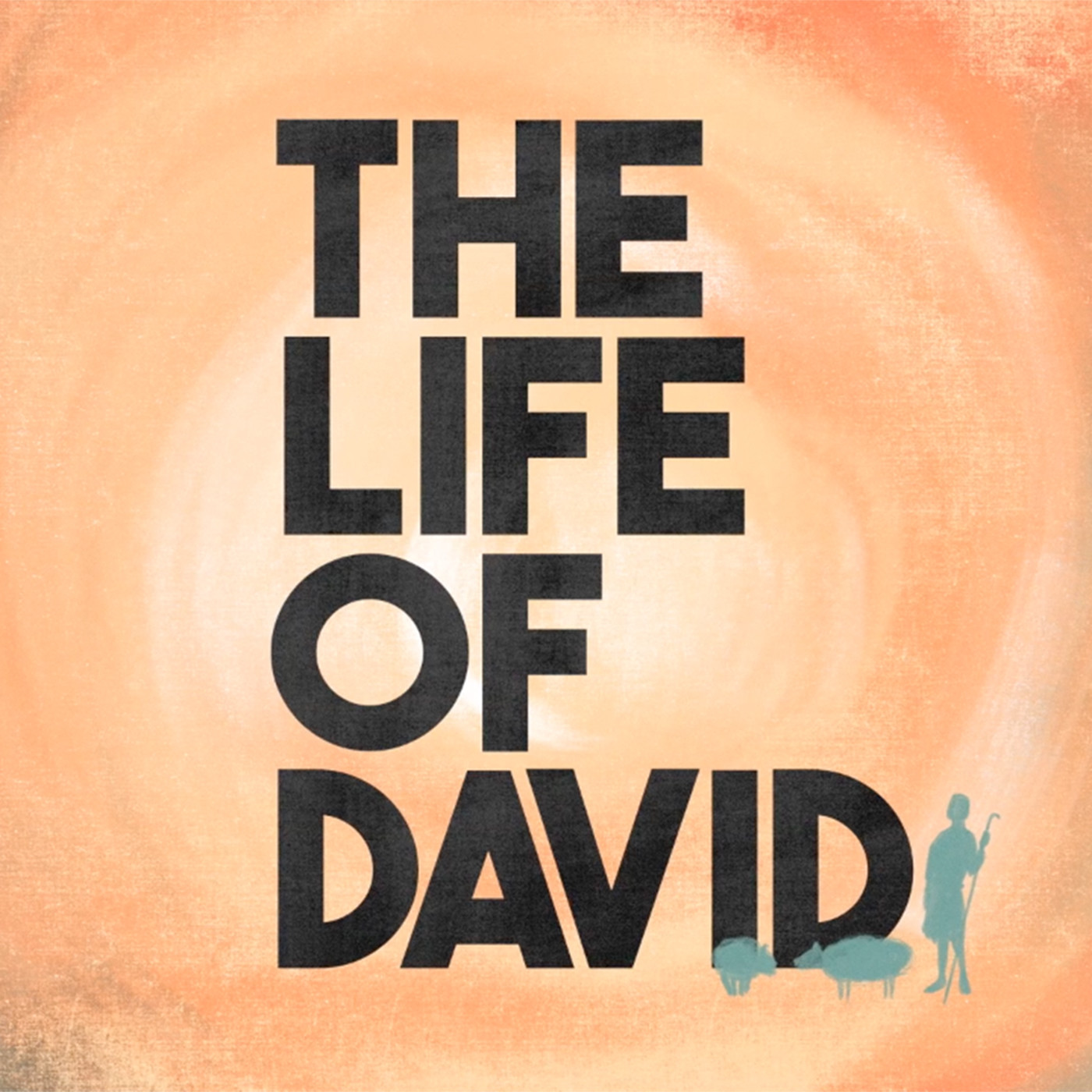 David and Solomon episode artwork