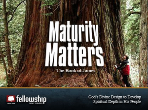 James 1:19-27 Living the Word