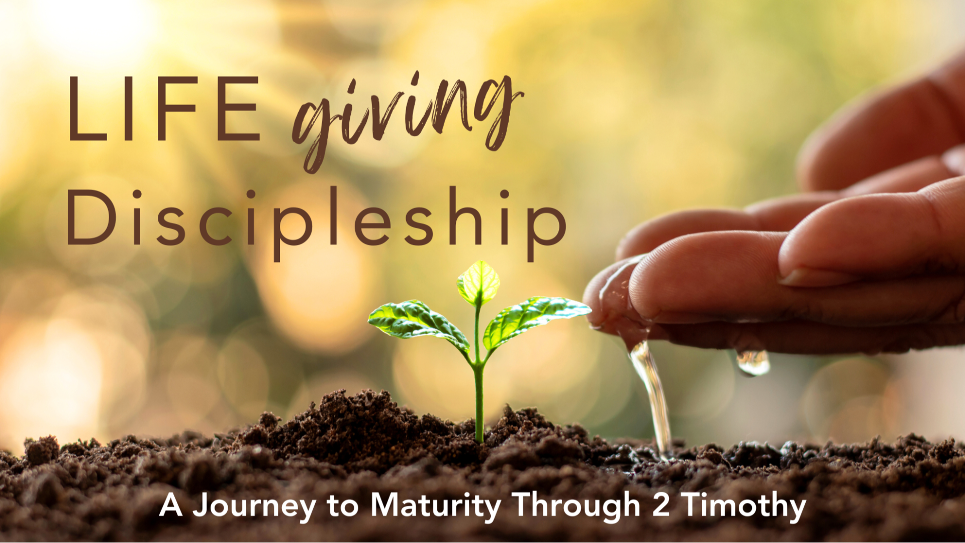 Fellowship Bible Church Waco Sunday Messages