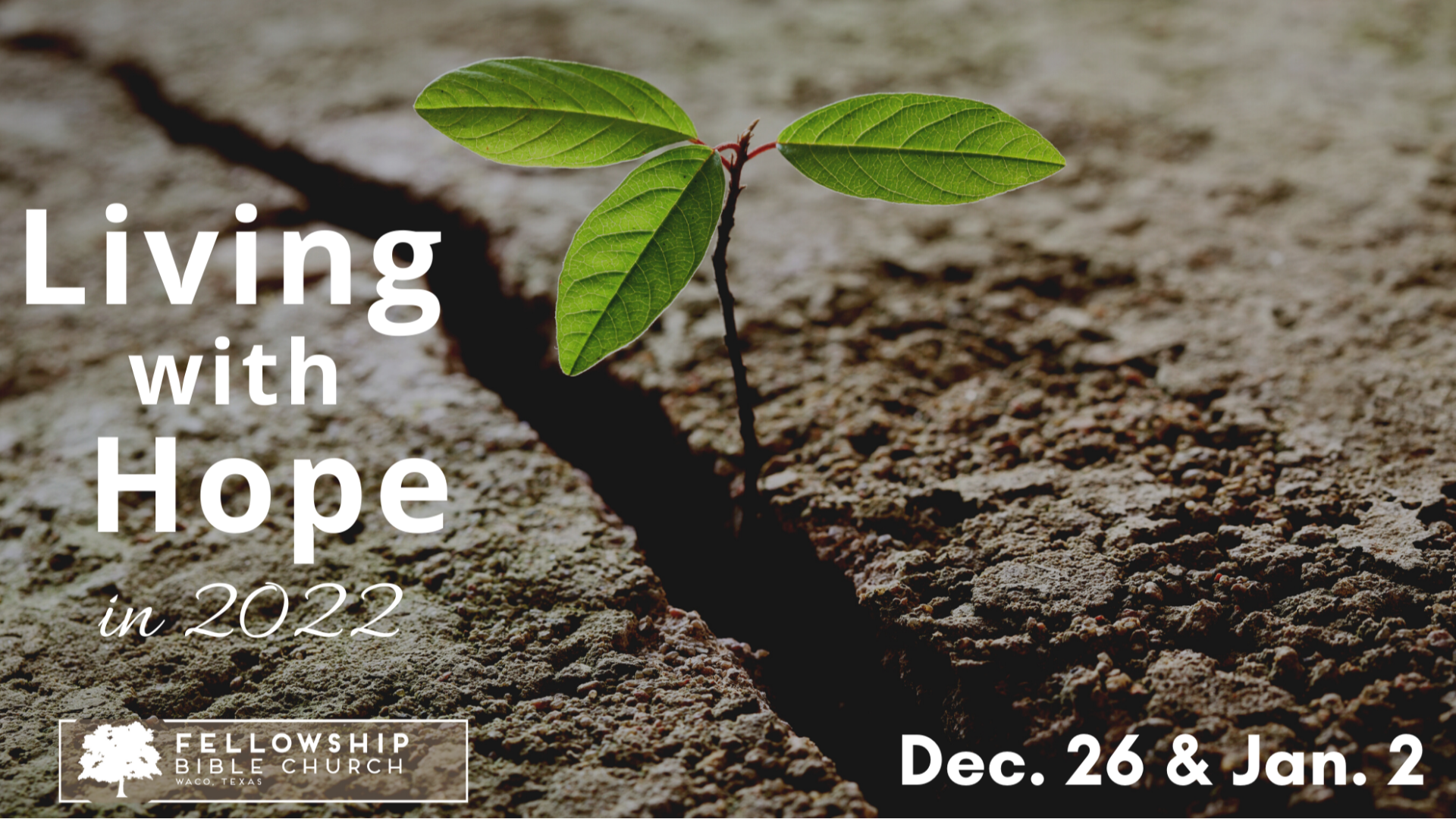 January 2, 2022 | Living With Hope in 2022 episode artwork