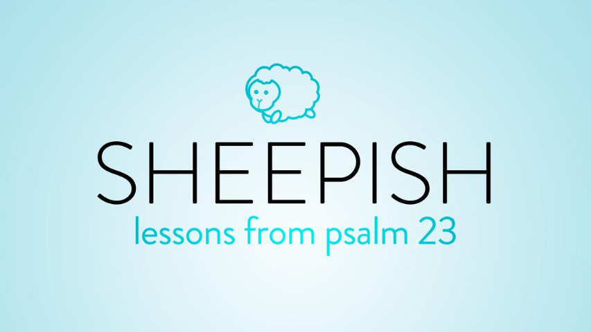 Sheepish - Lesson 8