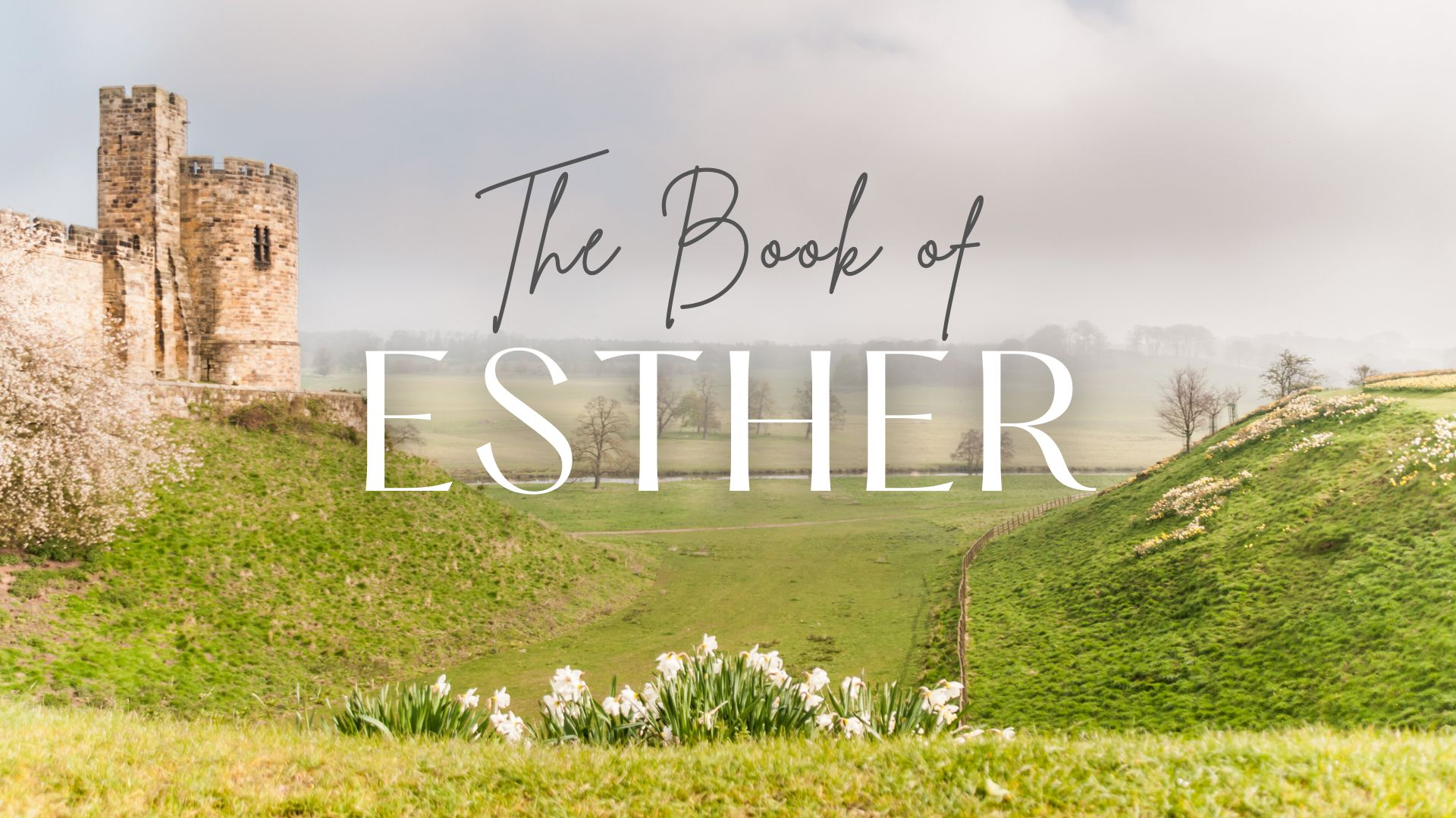 Esther: The Search For a Queen - Video episode artwork