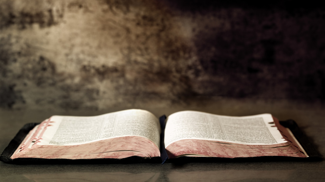 Peace Free Lutheran Church logo