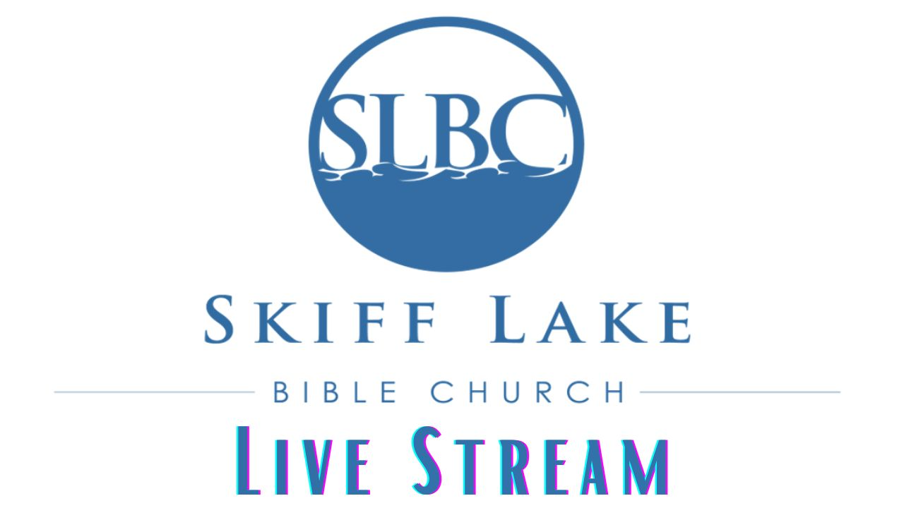 Skiff Live Stream