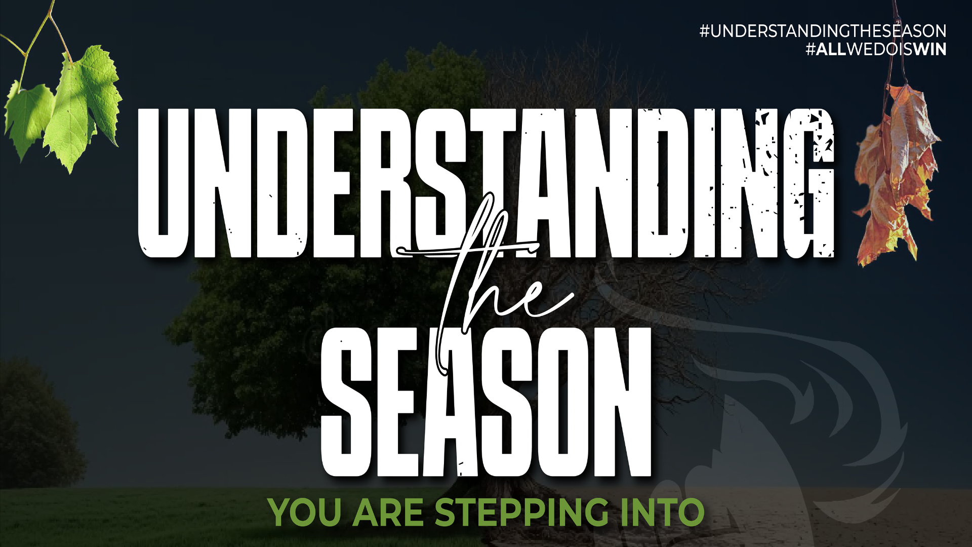 Understanding the Season You Are Stepping Into - Audio episode artwork
