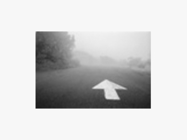 A Devoted Heart - PDF