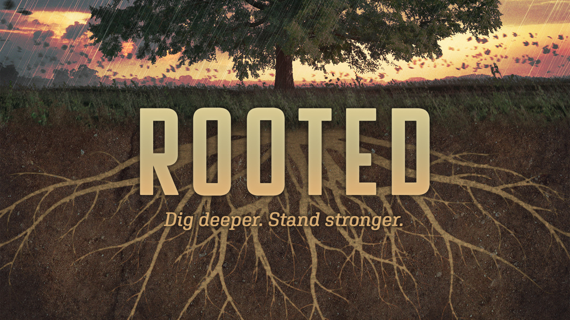 Rooted for Community