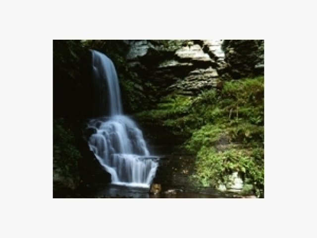 Consider or Consume - Audio