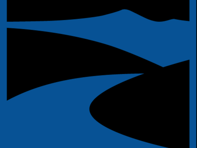 Heart Replacement - Audio